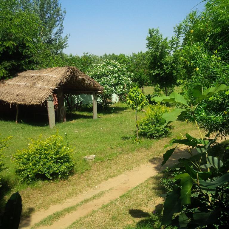 Adb Rooms Amer Resort Ranthambore エクステリア 写真